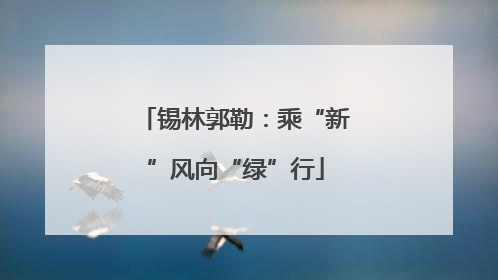 锡林郭勒：乘“新”风向“绿”行