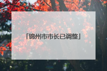 锦州市市长已调整