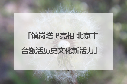 镇岗塔IP亮相 北京丰台激活历史文化新活力