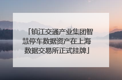 镇江交通产业集团智慧停车数据资产在上海数据交易所正式挂牌