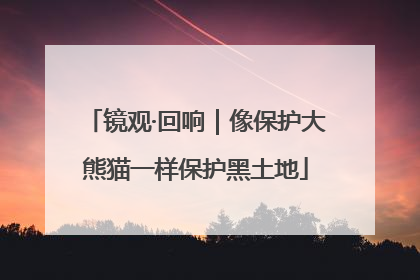 镜观·回响｜像保护大熊猫一样保护黑土地
