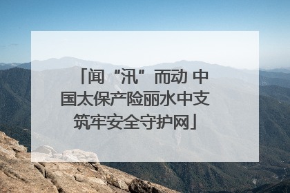 闻“汛”而动 中国太保产险丽水中支筑牢安全守护网