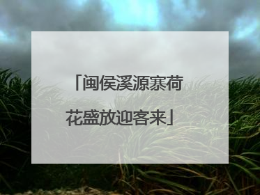 闽侯溪源寨荷花盛放迎客来
