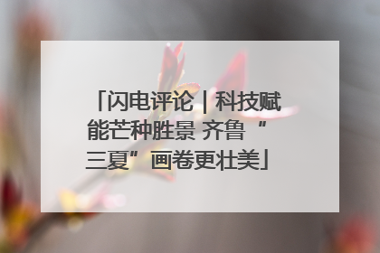 闪电评论｜科技赋能芒种胜景 齐鲁“三夏”画卷更壮美
