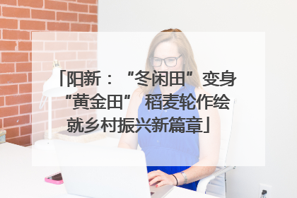 阳新：“冬闲田”变身“黄金田” 稻麦轮作绘就乡村振兴新篇章