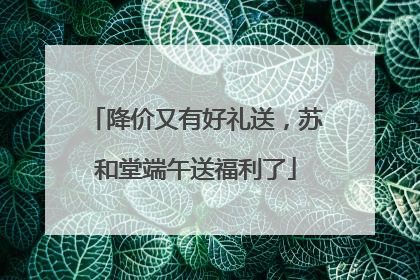 降价又有好礼送，苏和堂端午送福利了