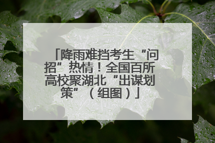 降雨难挡考生“问招”热情！全国百所高校聚湖北“出谋划策”（组图）