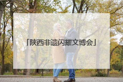 陕西非遗闪耀文博会