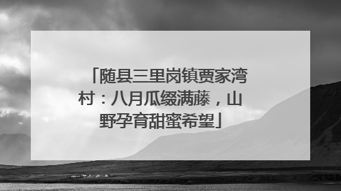 随县三里岗镇贾家湾村：八月瓜缀满藤，山野孕育甜蜜希望