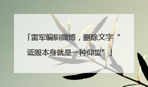 雷军编辑微博，删除文字“诋毁本身就是一种仰望”