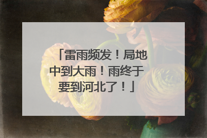 雷雨频发！局地中到大雨！雨终于要到河北了！