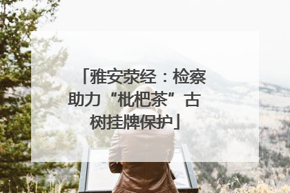 雅安荥经：检察助力“枇杷茶”古树挂牌保护