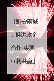 雅安雨城：推进政企合作 实现互利共赢