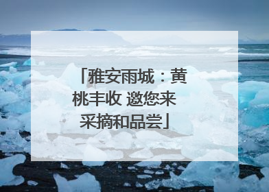 雅安雨城：黄桃丰收 邀您来采摘和品尝