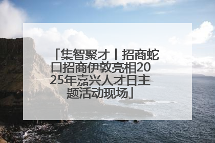 集智聚才丨招商蛇口招商伊敦亮相2025年嘉兴人才日主题活动现场