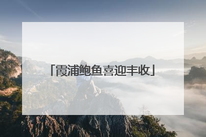 霞浦鲍鱼喜迎丰收