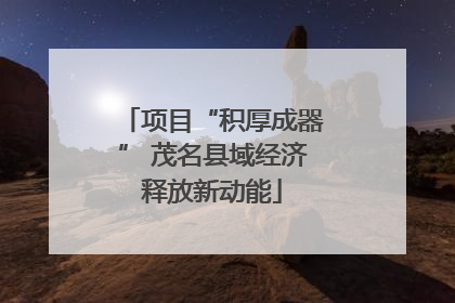 项目“积厚成器” 茂名县域经济释放新动能