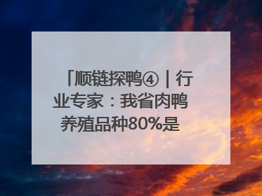 顺链探鸭④｜行业专家：我省肉鸭养殖品种80%是樱桃谷鸭