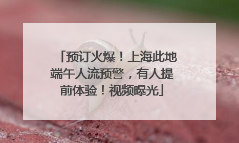 预订火爆！上海此地端午人流预警，有人提前体验！视频曝光