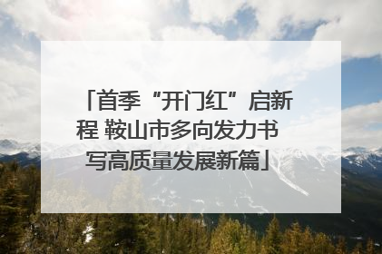 首季“开门红”启新程 鞍山市多向发力书写高质量发展新篇