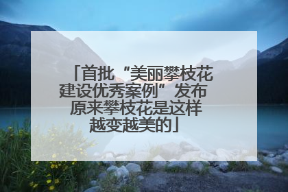首批“美丽攀枝花建设优秀案例”发布 原来攀枝花是这样越变越美的