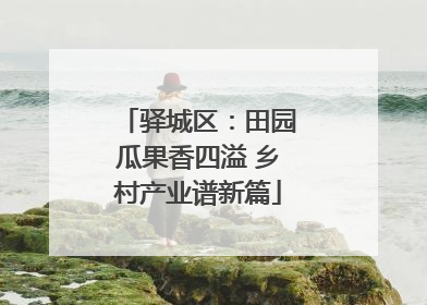 驿城区：田园瓜果香四溢 乡村产业谱新篇