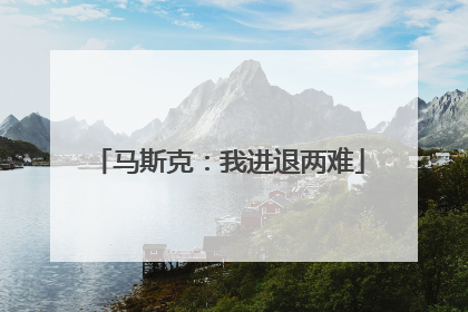 马斯克：我进退两难
