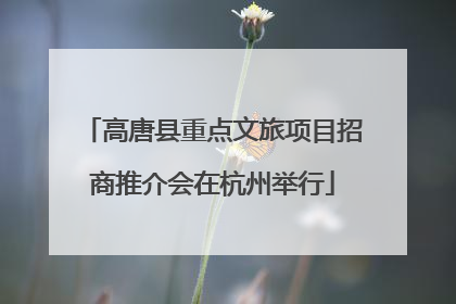 高唐县重点文旅项目招商推介会在杭州举行