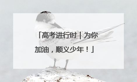 高考进行时｜为你加油，顺义少年！