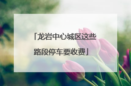 龙岩中心城区这些路段停车要收费