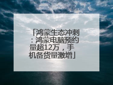 鸿蒙生态冲刺：鸿蒙电脑预约量超12万，手机备货量激增
