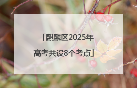 麒麟区2025年高考共设8个考点