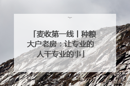 麦收第一线丨种粮大户老房：让专业的人干专业的事