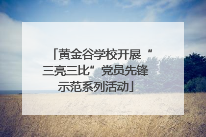 黄金谷学校开展“三亮三比”党员先锋示范系列活动