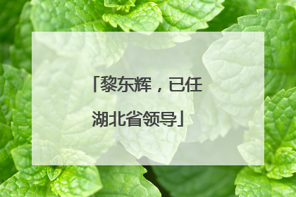 黎东辉，已任湖北省领导