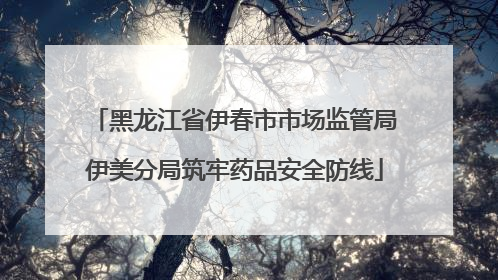黑龙江省伊春市市场监管局伊美分局筑牢药品安全防线