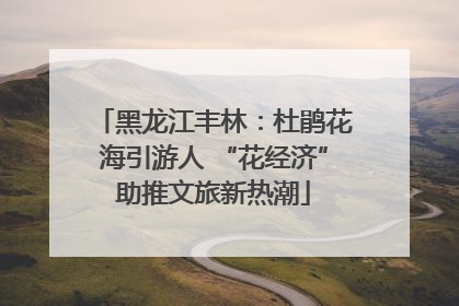 黑龙江丰林：杜鹃花海引游人 “花经济”助推文旅新热潮