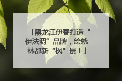 黑龙江伊春打造“伊法调”品牌，绘就林都新“枫”景！