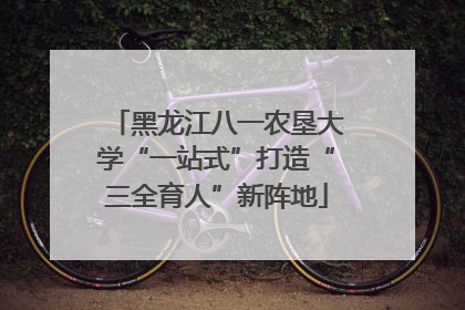 黑龙江八一农垦大学“一站式”打造“三全育人”新阵地