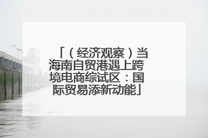 （经济观察）当海南自贸港遇上跨境电商综试区：国际贸易添新动能