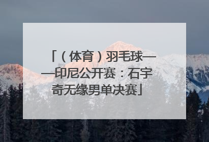 （体育）羽毛球——印尼公开赛：石宇奇无缘男单决赛