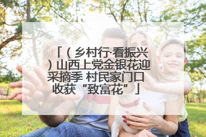 （乡村行·看振兴）山西上党金银花迎采摘季 村民家门口收获“致富花”