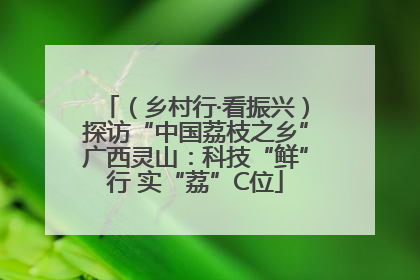 （乡村行·看振兴）探访“中国荔枝之乡”广西灵山：科技“鲜”行 实“荔”C位