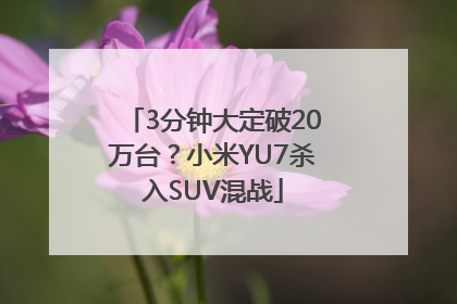 3分钟大定破20万台？小米YU7杀入SUV混战