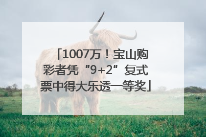 1007万！宝山购彩者凭“9+2”复式票中得大乐透一等奖