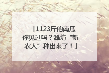 1123斤的南瓜你见过吗？潍坊“新农人”种出来了！