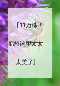 11万株！福州这里太太太美了