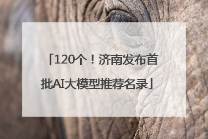 120个！济南发布首批AI大模型推荐名录