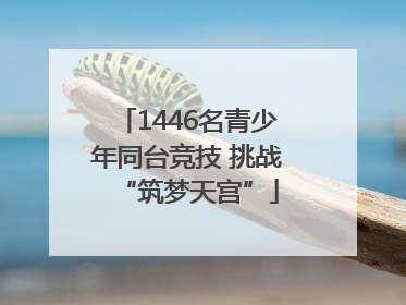 1446名青少年同台竞技 挑战“筑梦天宫”