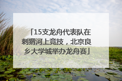 15支龙舟代表队在刺猬河上竞技，北京良乡大学城举办龙舟赛